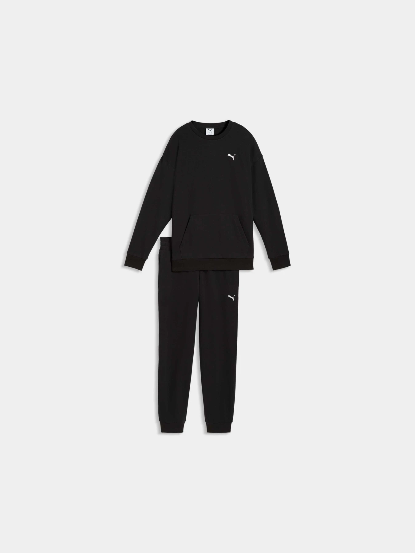 Костюмы PUMA Relaxed Sweat Suit модель 691900 Фото