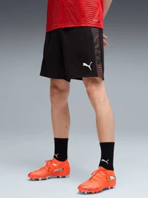 Шорты PUMA Individualfinal Shorts модель 660428 Фото