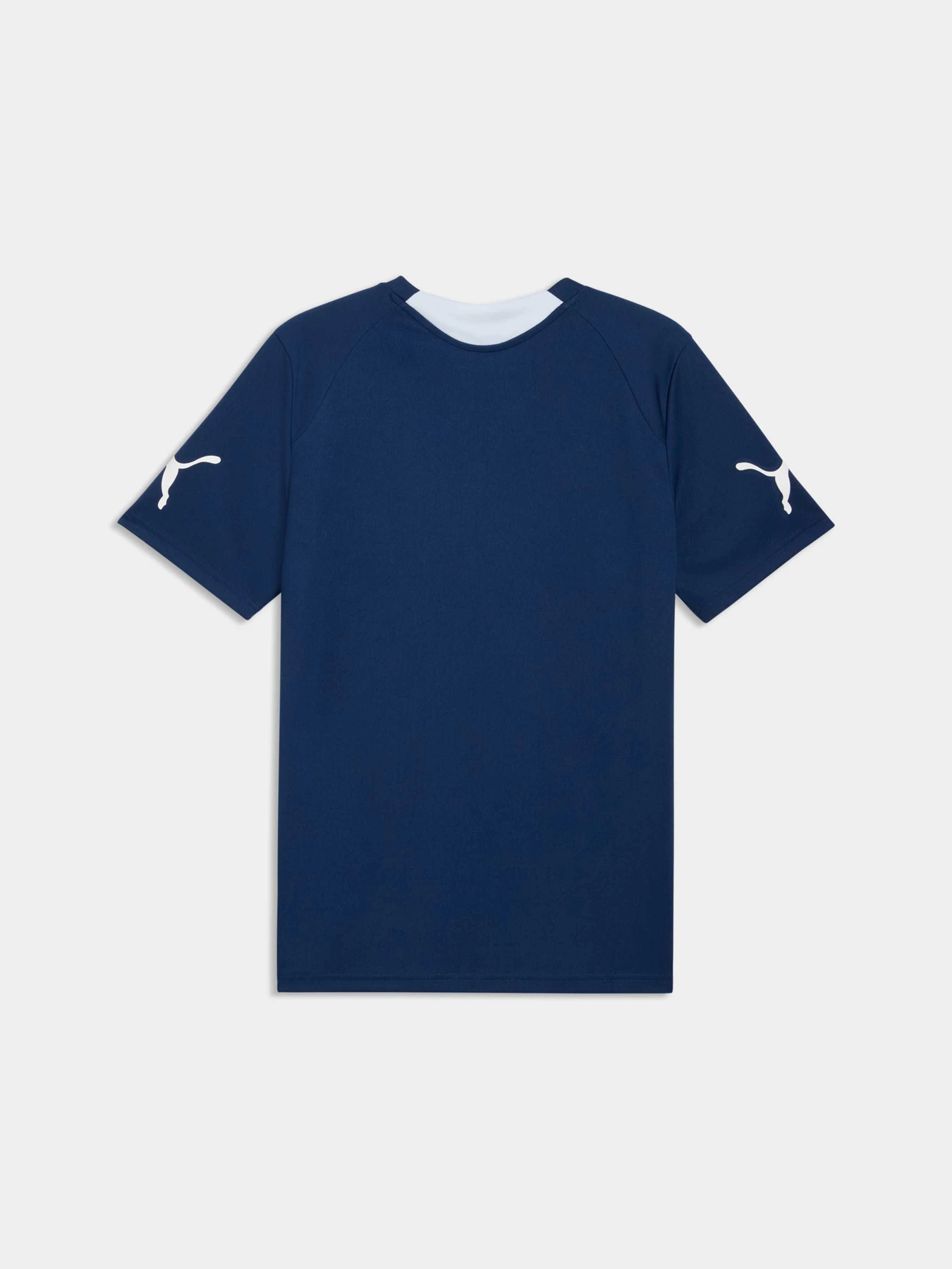 Футболки и поло PUMA Individualfinal Jersey модель 660424 Футболки и поло PUMA Individualfinal Jersey модель 660424 Фото