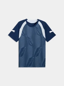 Футболки і поло PUMA Individualfinal Jersey модель 660424 Фото