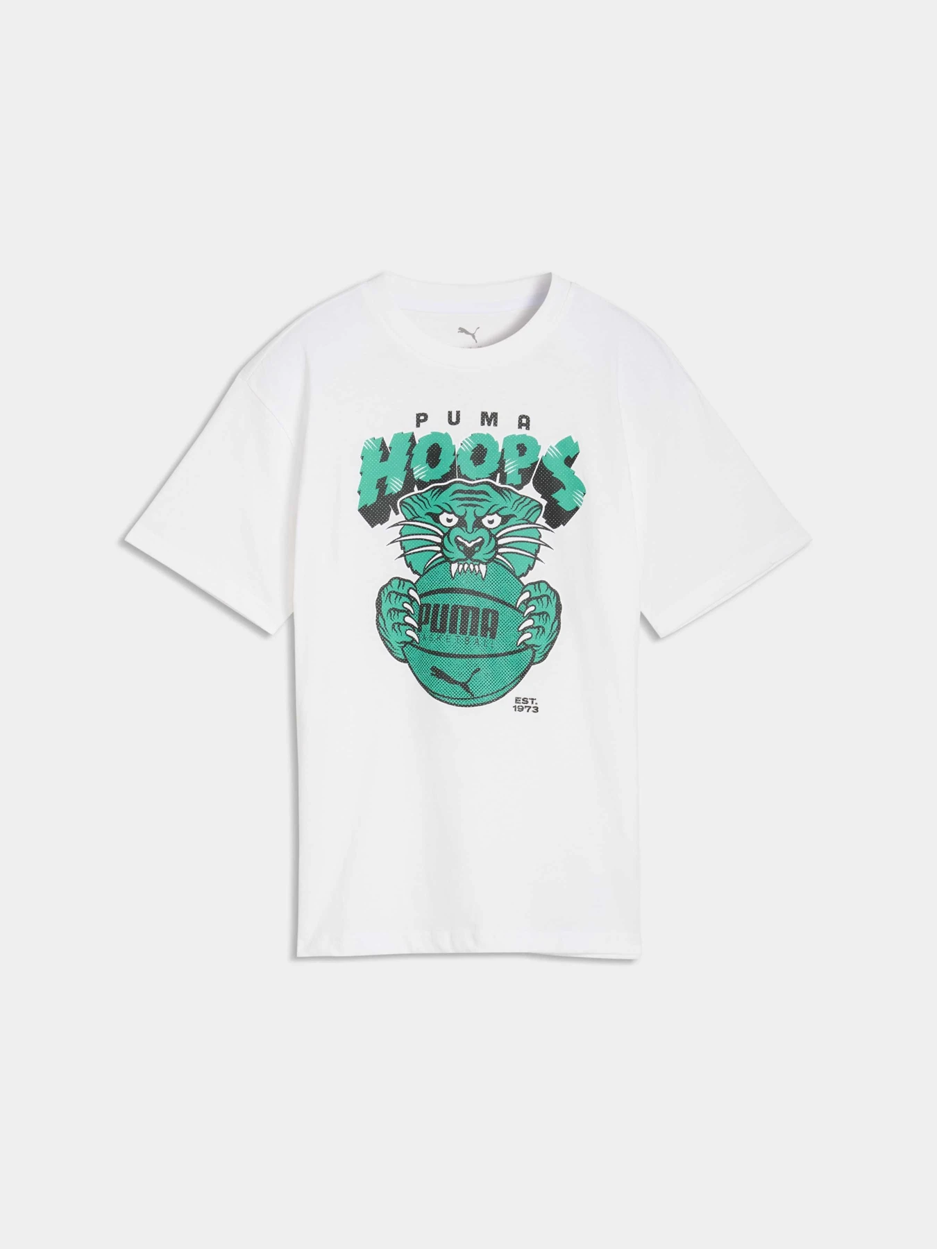 Футболки і поло PUMA Flagrant Foul Tee модель 635514 Фото