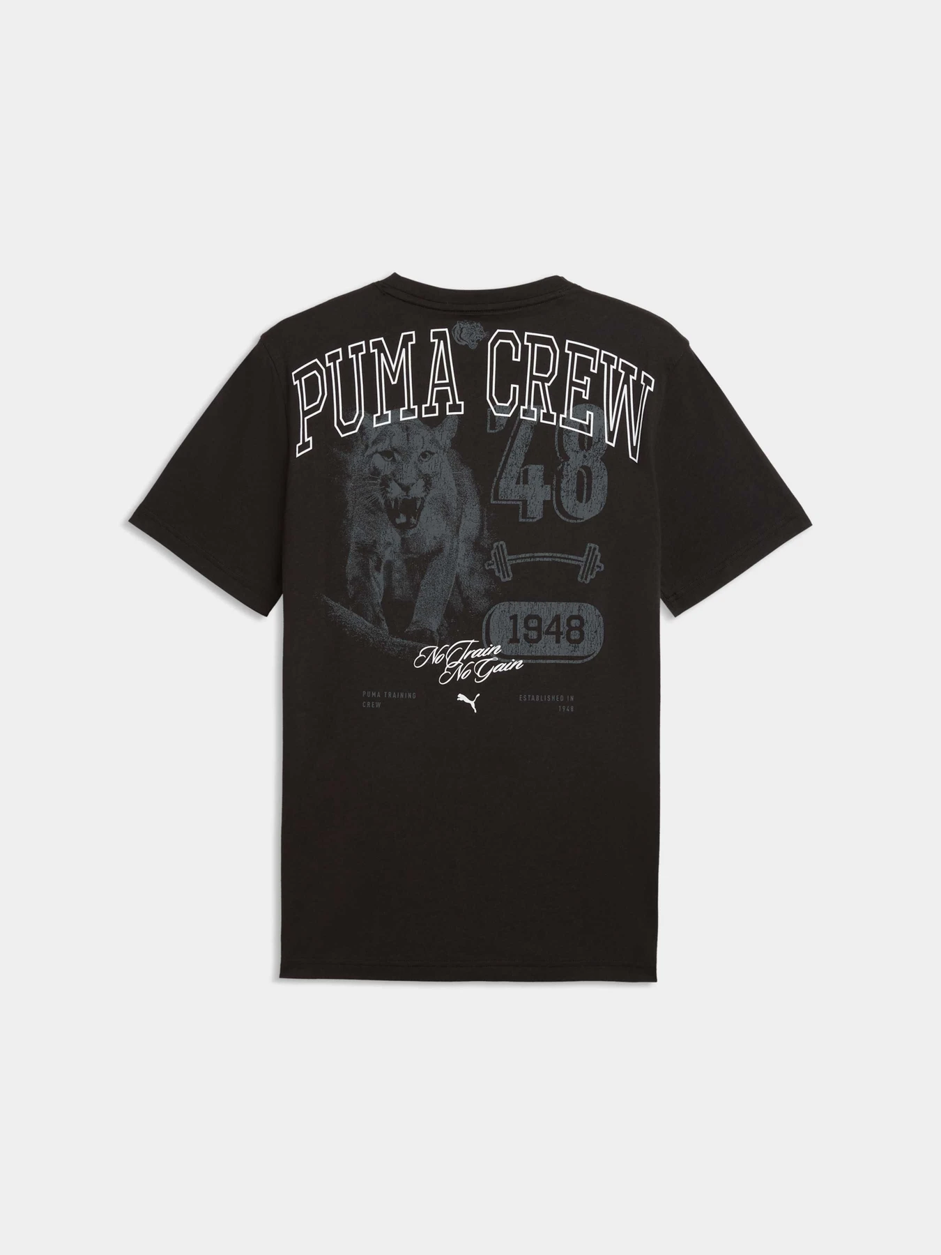 Футболки і поло PUMA M Graphic Tee 1 модель 528530 Футболки і поло PUMA M Graphic Tee 1 модель 528530 Фото