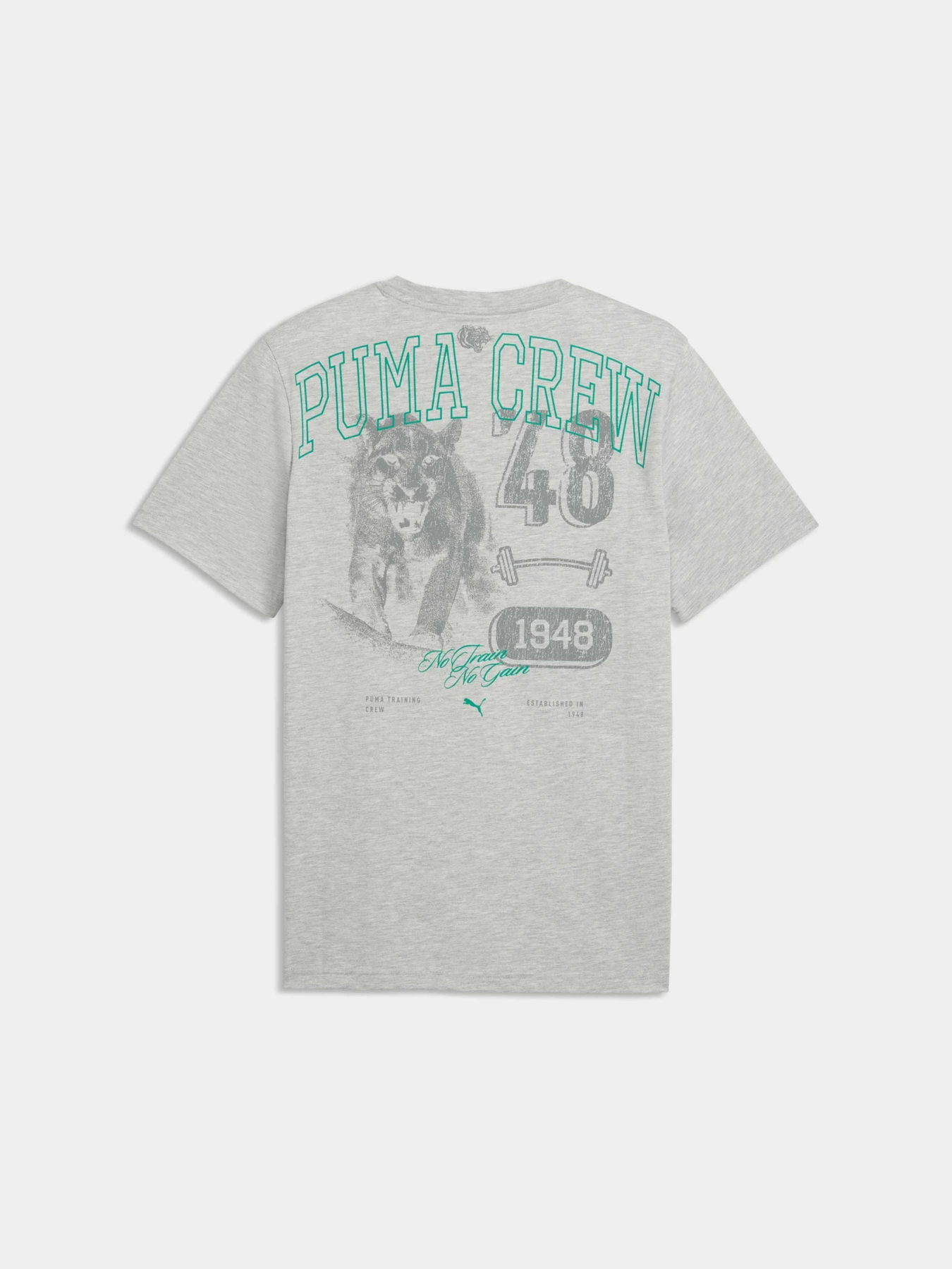 Футболки і поло PUMA M Graphic Tee 1 модель 528530 Футболки і поло PUMA M Graphic Tee 1 модель 528530 Фото