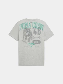 Футболки і поло PUMA M Graphic Tee 1 модель 528530 Фото