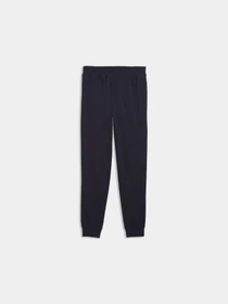 Брюки PUMA Ess Block Sweatpants модель 691700 Фото