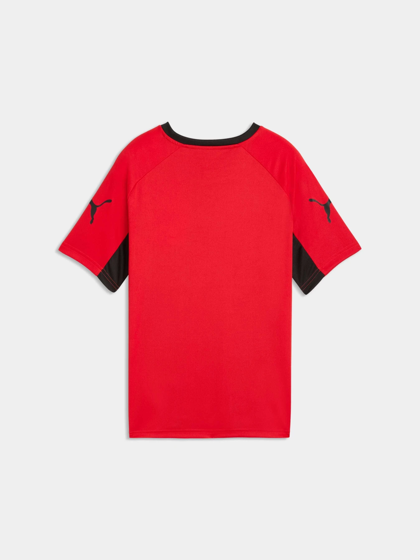 Футболки і поло PUMA Individualliga Graph Jer Jr модель 660579 Футболки і поло PUMA Individualliga Graph Jer Jr модель 660579 Фото