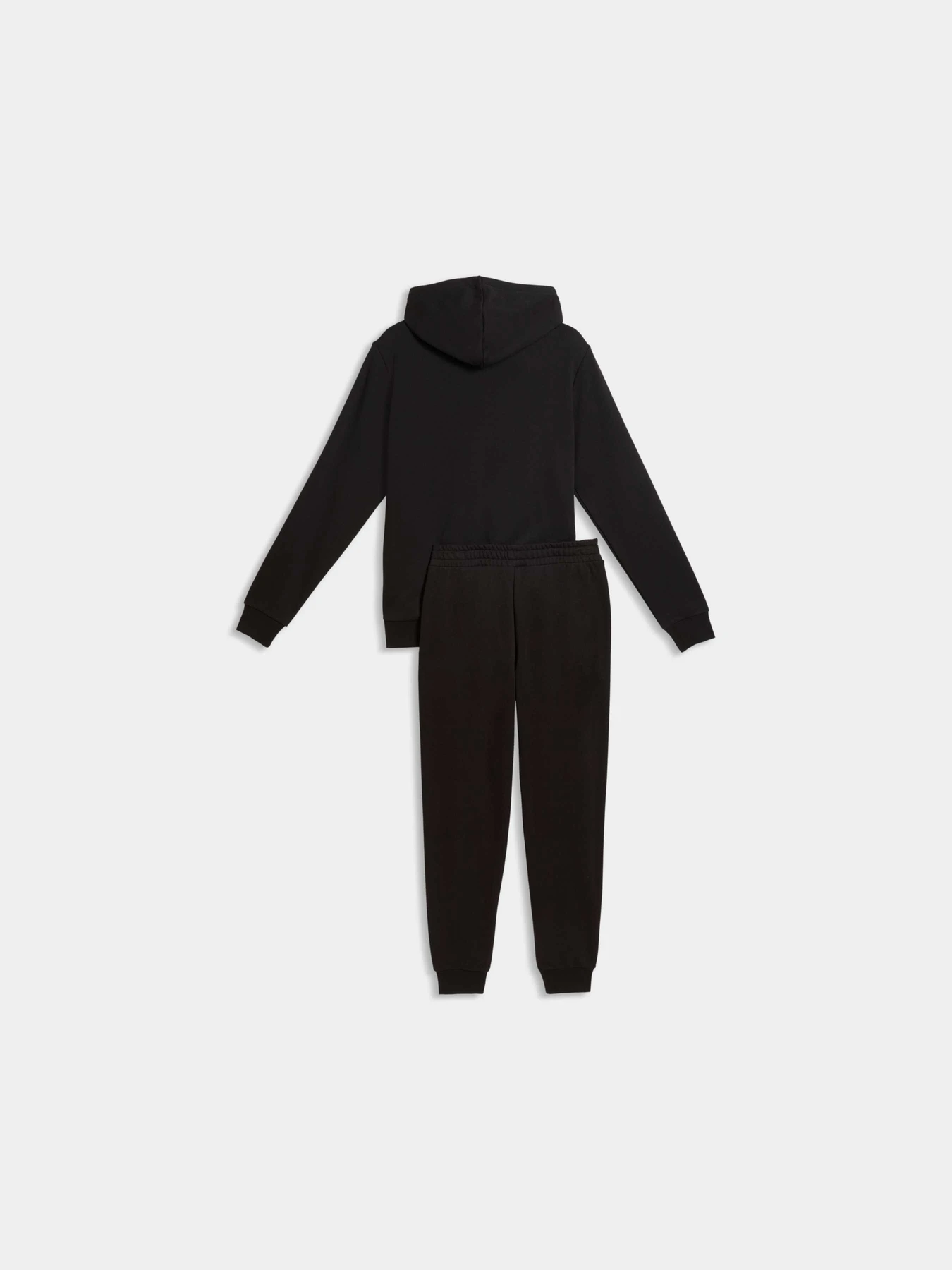 Костюмы PUMA Hooded Sweat Suit модель 691769 Фото