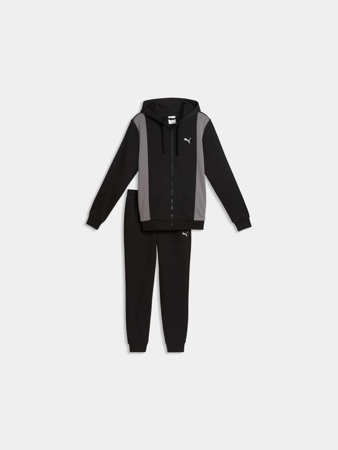 Костюмы PUMA Hooded Sweat Suit модель 691769 Фото