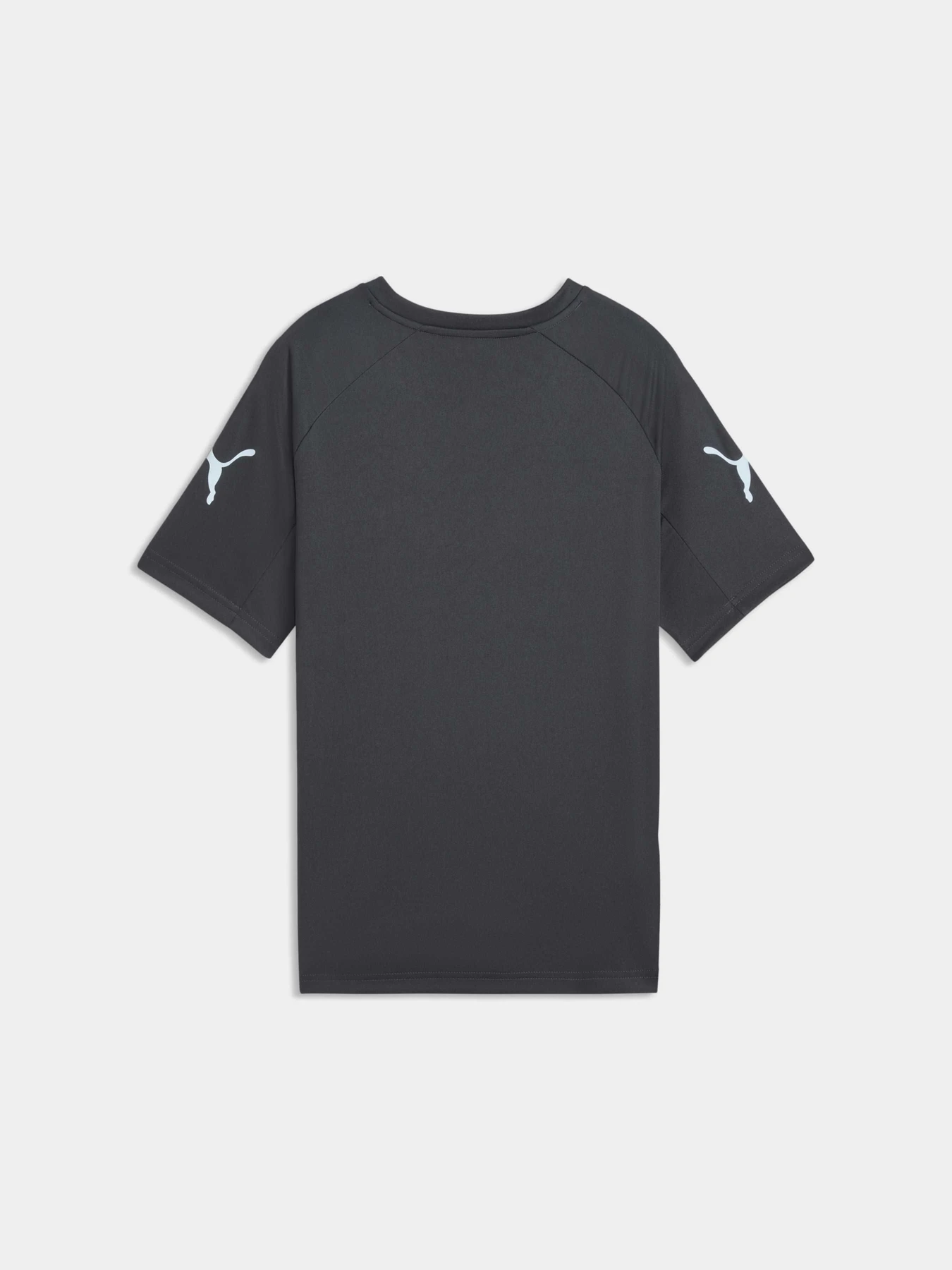 Футболки и поло PUMA Individualliga Graph Jer Jr модель 660579 Футболки и поло PUMA Individualliga Graph Jer Jr модель 660579 Фото