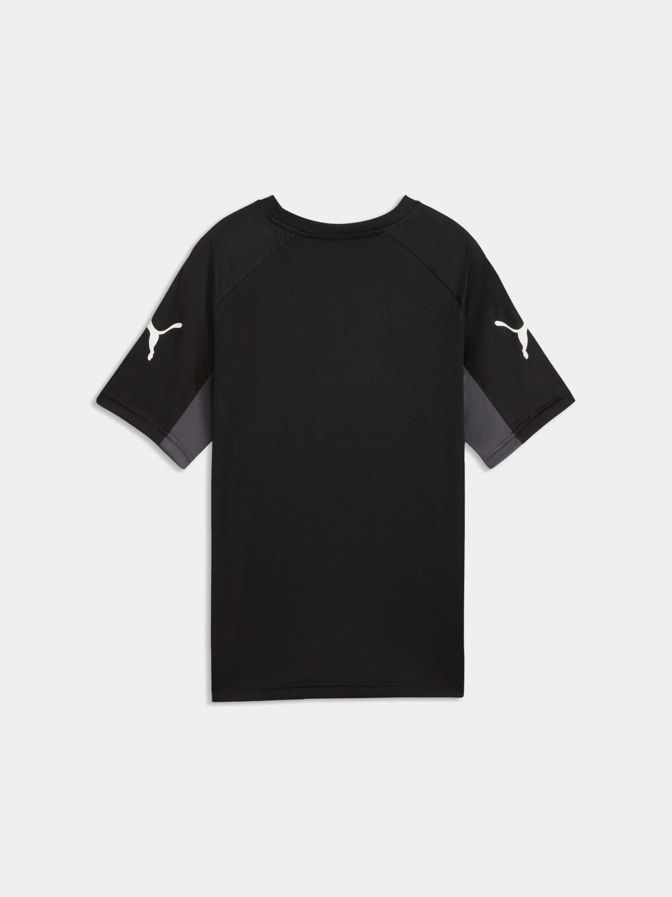 Футболки и поло PUMA Individualligajersey Jr модель 660582 Футболки и поло PUMA Individualligajersey Jr модель 660582 Фото