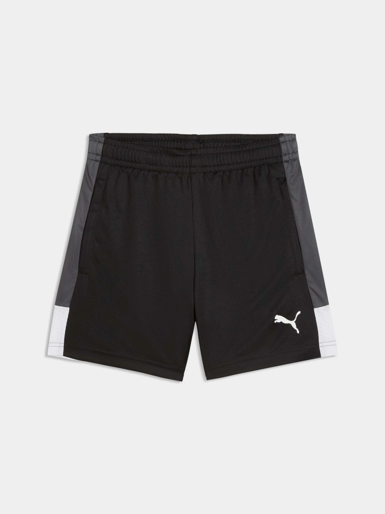 Шорты PUMA Individualliga Trg Shorts Jr модель 660575 Шорты PUMA Individualliga Trg Shorts Jr модель 660575 Фото