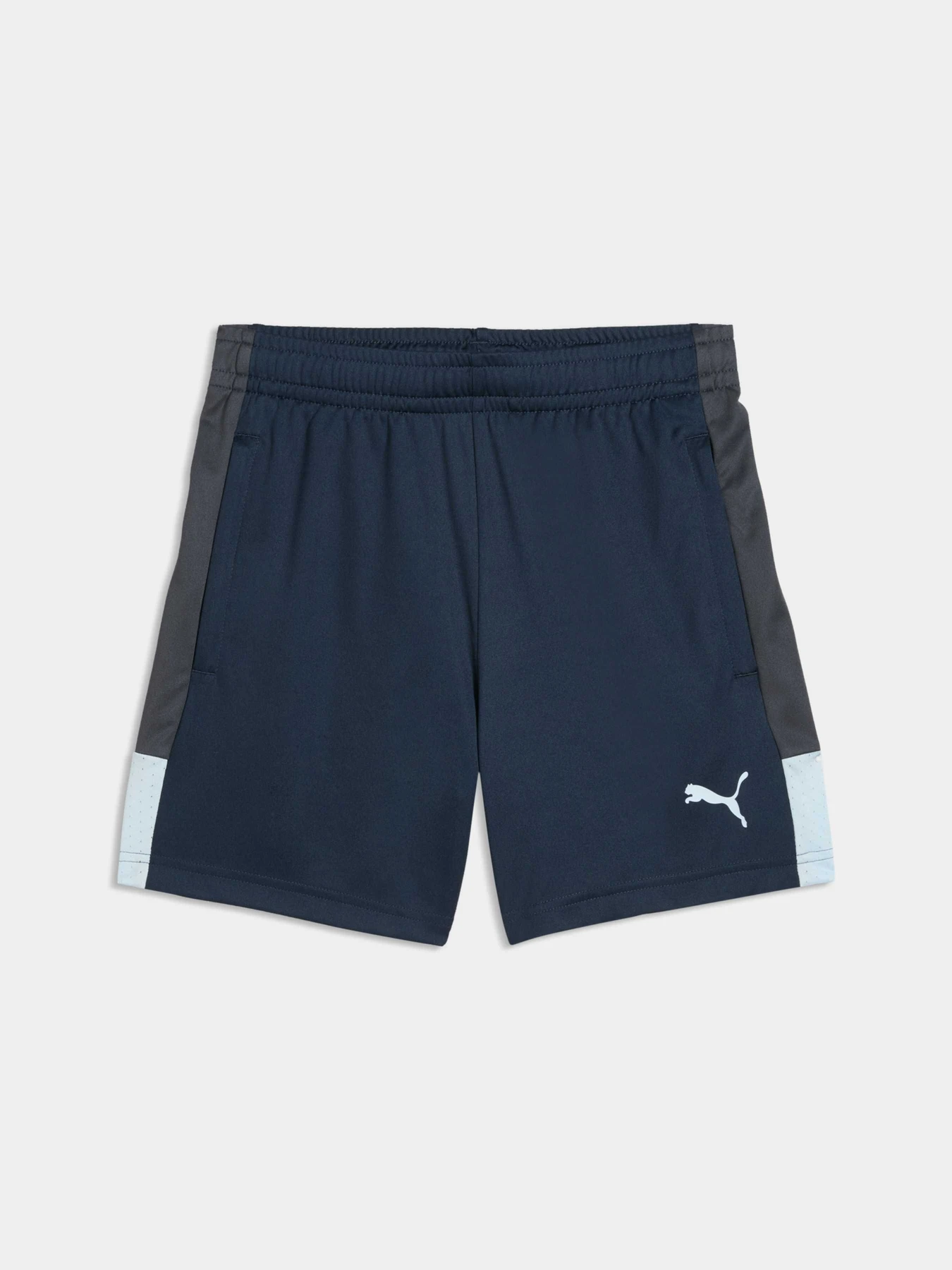 Шорты PUMA Individualliga Trg Shorts Jr модель 660575 Шорты PUMA Individualliga Trg Shorts Jr модель 660575 Фото