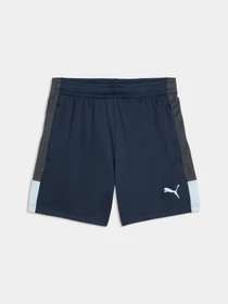 Шорты PUMA Individualliga Trg Shorts Jr модель 660575 Фото