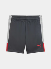 Шорты PUMA Individualliga Trg Shorts Jr модель 660575 Фото