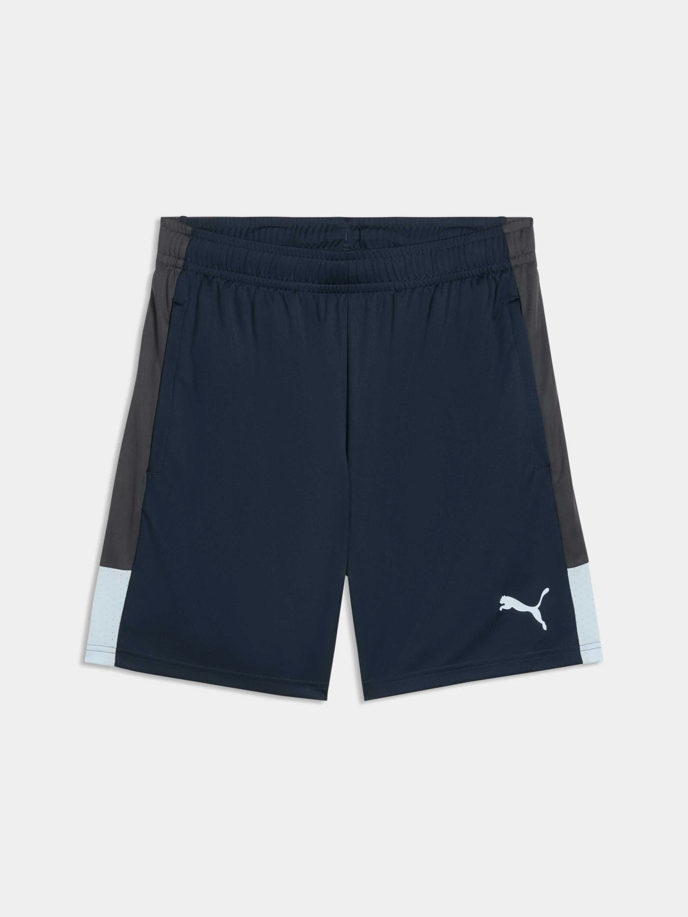 Шорты PUMA Individualliga Trg Shorts модель 660574 Шорты PUMA Individualliga Trg Shorts модель 660574 Фото