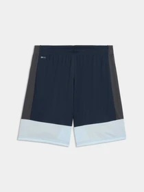 Шорты PUMA Individualliga Trg Shorts модель 660574 Фото