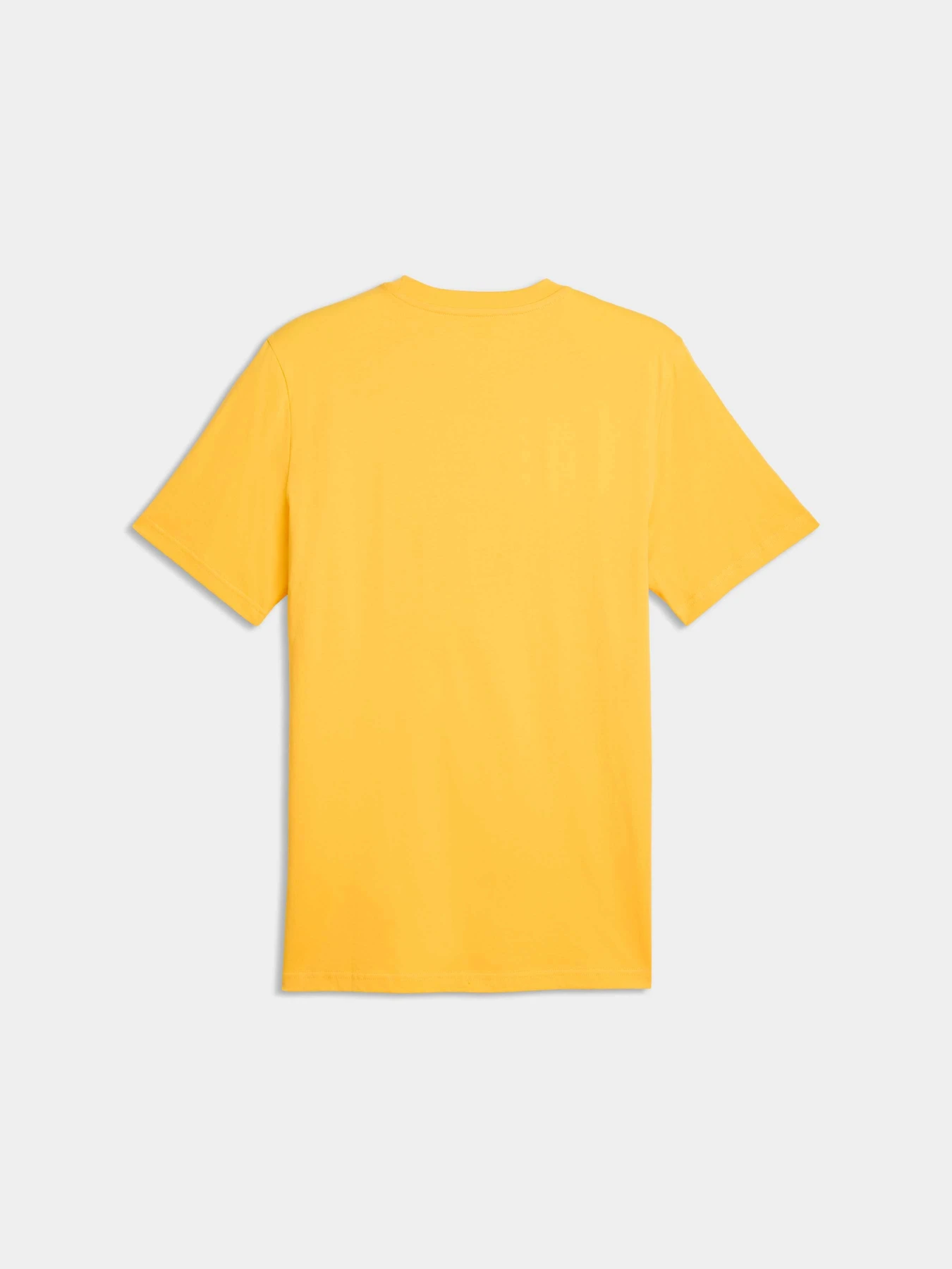 Футболки и поло PUMA Acm Ftblculture Tee модель 784718 Футболки и поло PUMA Acm Ftblculture Tee модель 784718 Фото