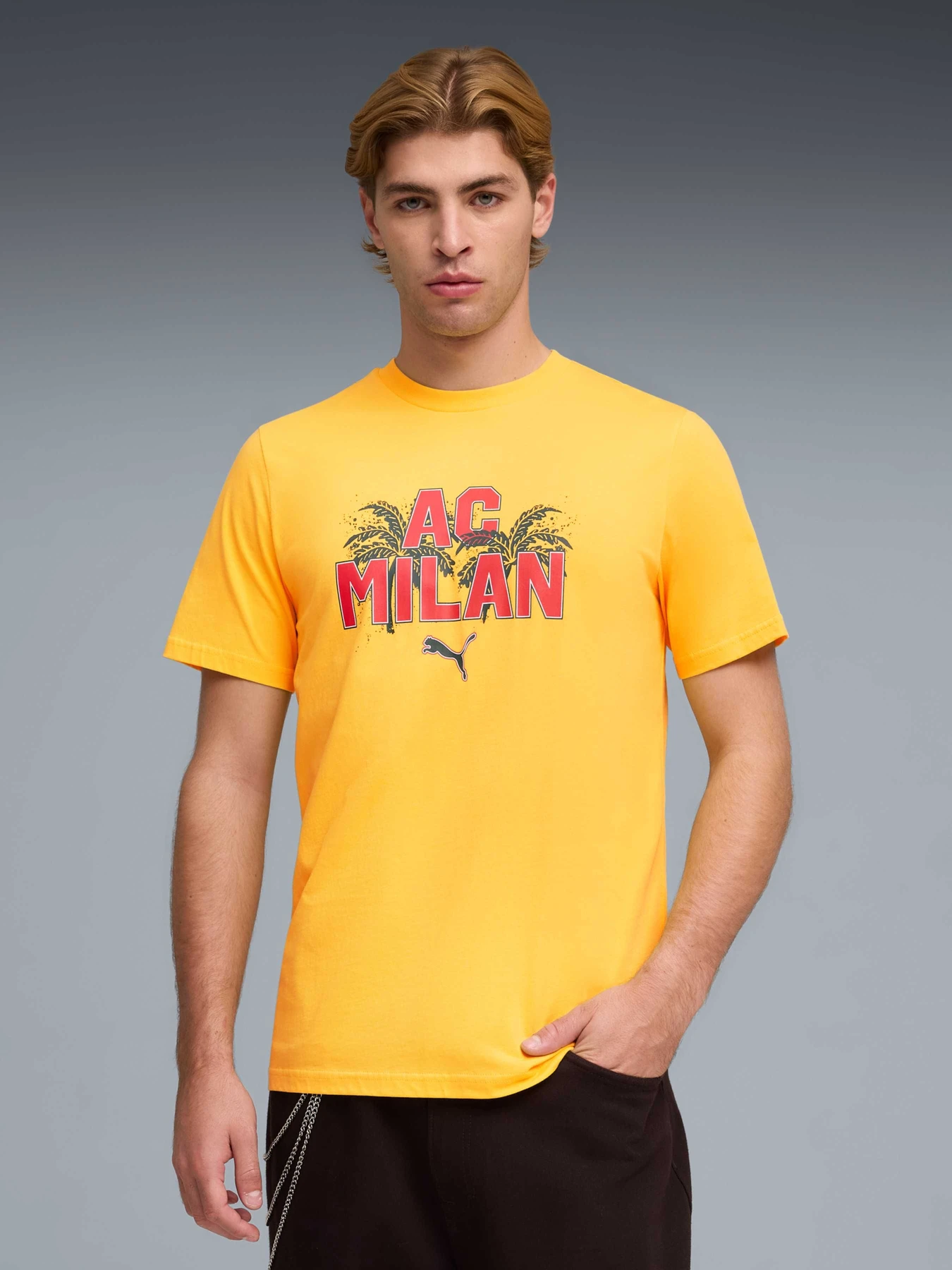 Футболки и поло PUMA Acm Ftblculture Tee модель 784718 Футболки и поло PUMA Acm Ftblculture Tee модель 784718 Фото