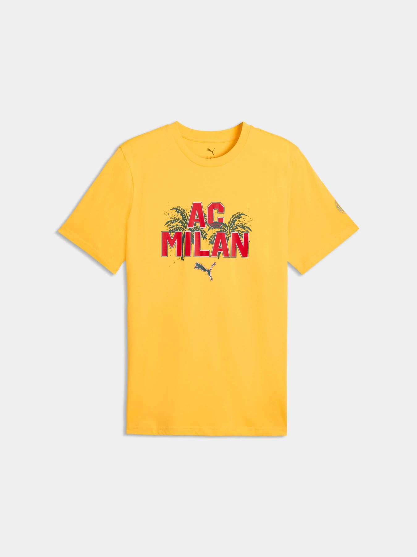 Футболки и поло PUMA Acm Ftblculture Tee модель 784718 Футболки и поло PUMA Acm Ftblculture Tee модель 784718 Фото