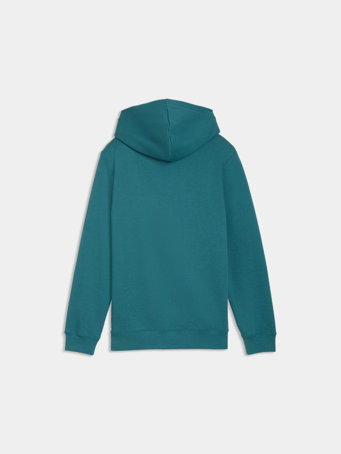 Худи и свитшоты PUMA Ess No. 1 Logo Hoodie Tr модель 684909 Фото