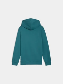 Худи и свитшоты PUMA Ess No. 1 Logo Hoodie Tr модель 684909 Фото