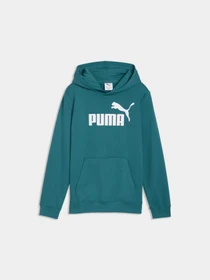 Худи и свитшоты PUMA Ess No. 1 Logo Hoodie Tr модель 684909 Фото
