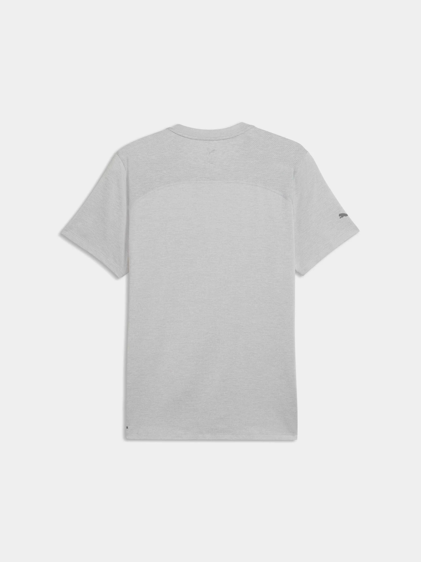 Футболки и поло PUMA M Cloudspun Branded Tee модель 528524 Футболки и поло PUMA M Cloudspun Branded Tee модель 528524 Фото