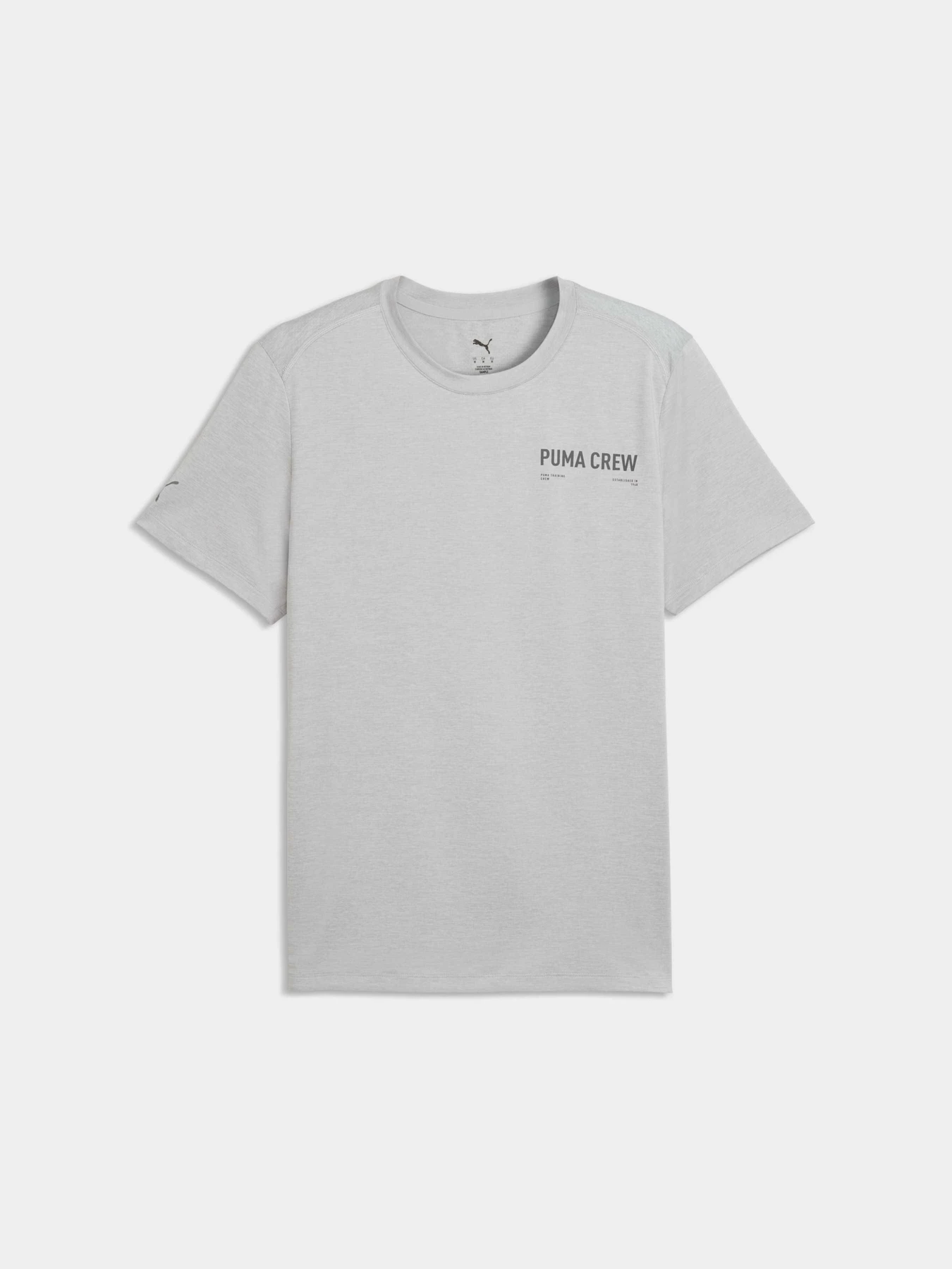Футболки и поло PUMA M Cloudspun Branded Tee модель 528524 Футболки и поло PUMA M Cloudspun Branded Tee модель 528524 Фото