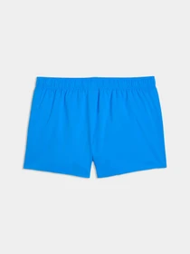 Одежда для пляжа PUMA Swim Men Short Shorts 1 модель 938064 Фото