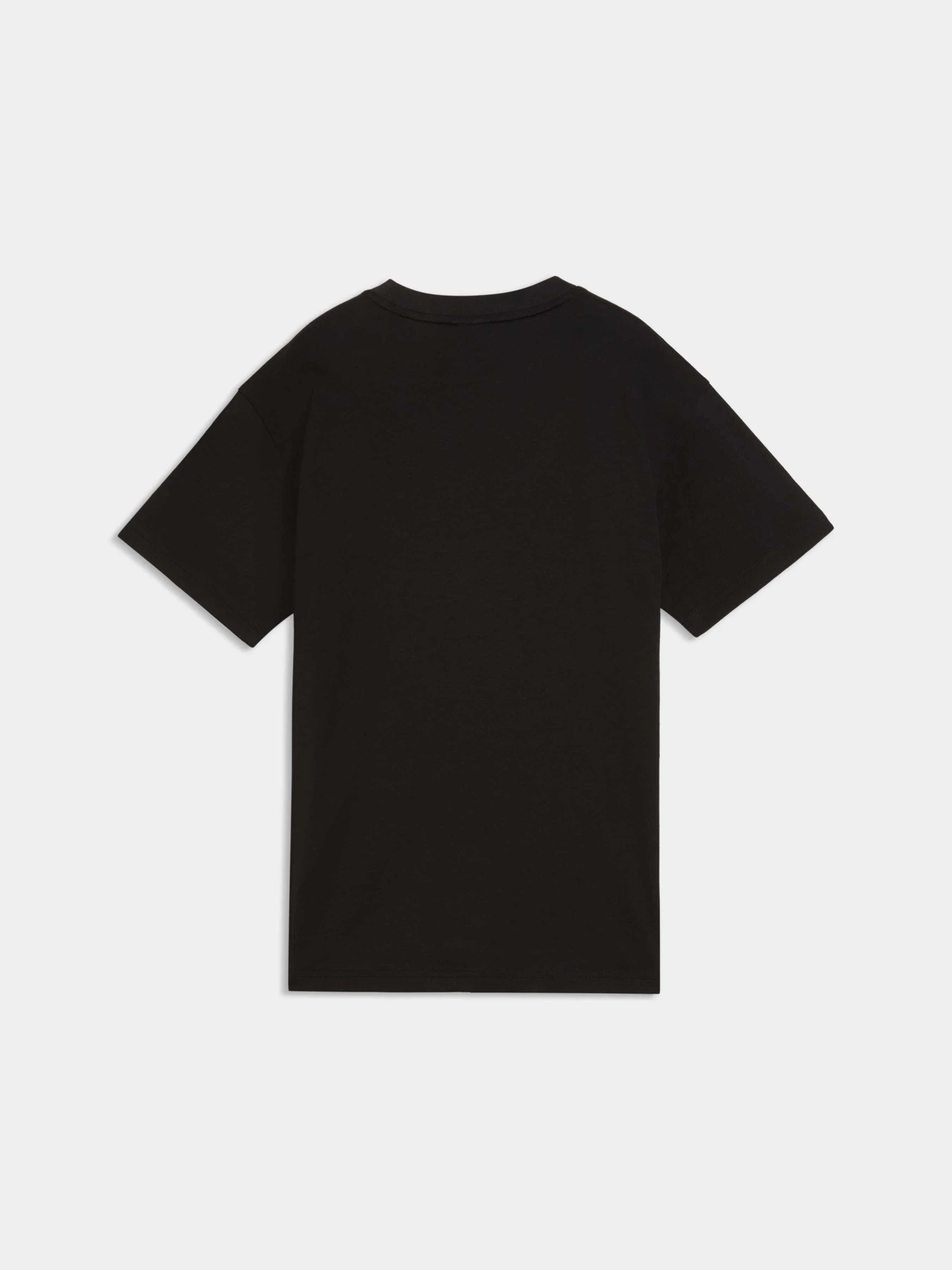 Футболки и поло PUMA Graphic Tee модель 634524 Футболки и поло PUMA Graphic Tee модель 634524 Фото