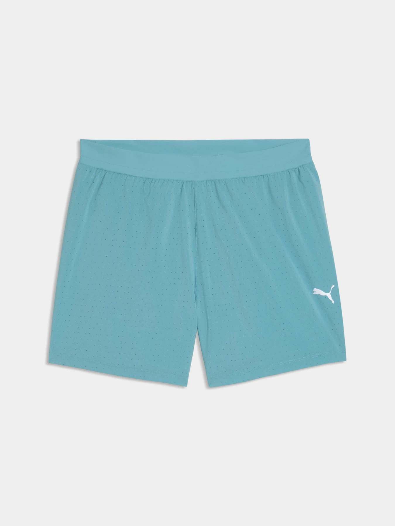 Шорты PUMA M Dreamrun 5 Drycell Short модель 528425 Шорты PUMA M Dreamrun 5 Drycell Short модель 528425 Фото