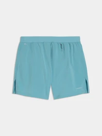 Шорты PUMA M Dreamrun 5 Drycell Short модель 528425 Фото