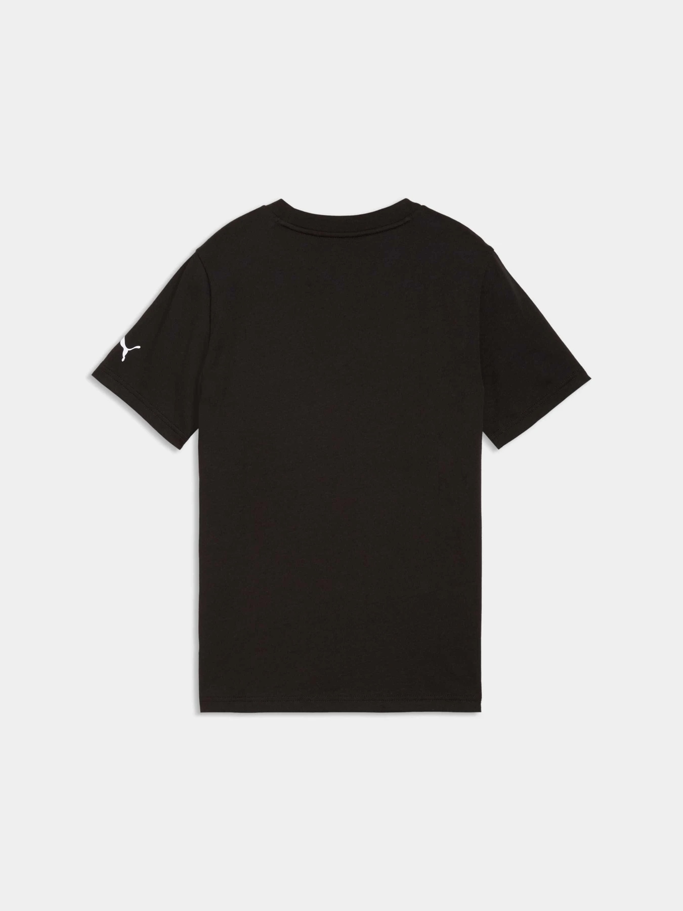 Футболки и поло PUMA Active Sports Graphic Tee модель 691752 Футболки и поло PUMA Active Sports Graphic Tee модель 691752 Фото