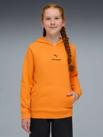 Худи и свитшоты PUMA Mclaren Ess Hoodie Kids модель 637501 Фото