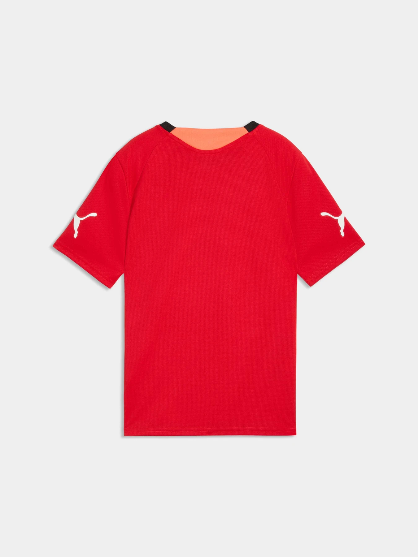 Футболки и поло PUMA Individualfinal Jersey Jr модель 660425 Футболки и поло PUMA Individualfinal Jersey Jr модель 660425 Фото