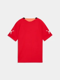 Футболки и поло PUMA Individualfinal Jersey Jr модель 660425 Фото