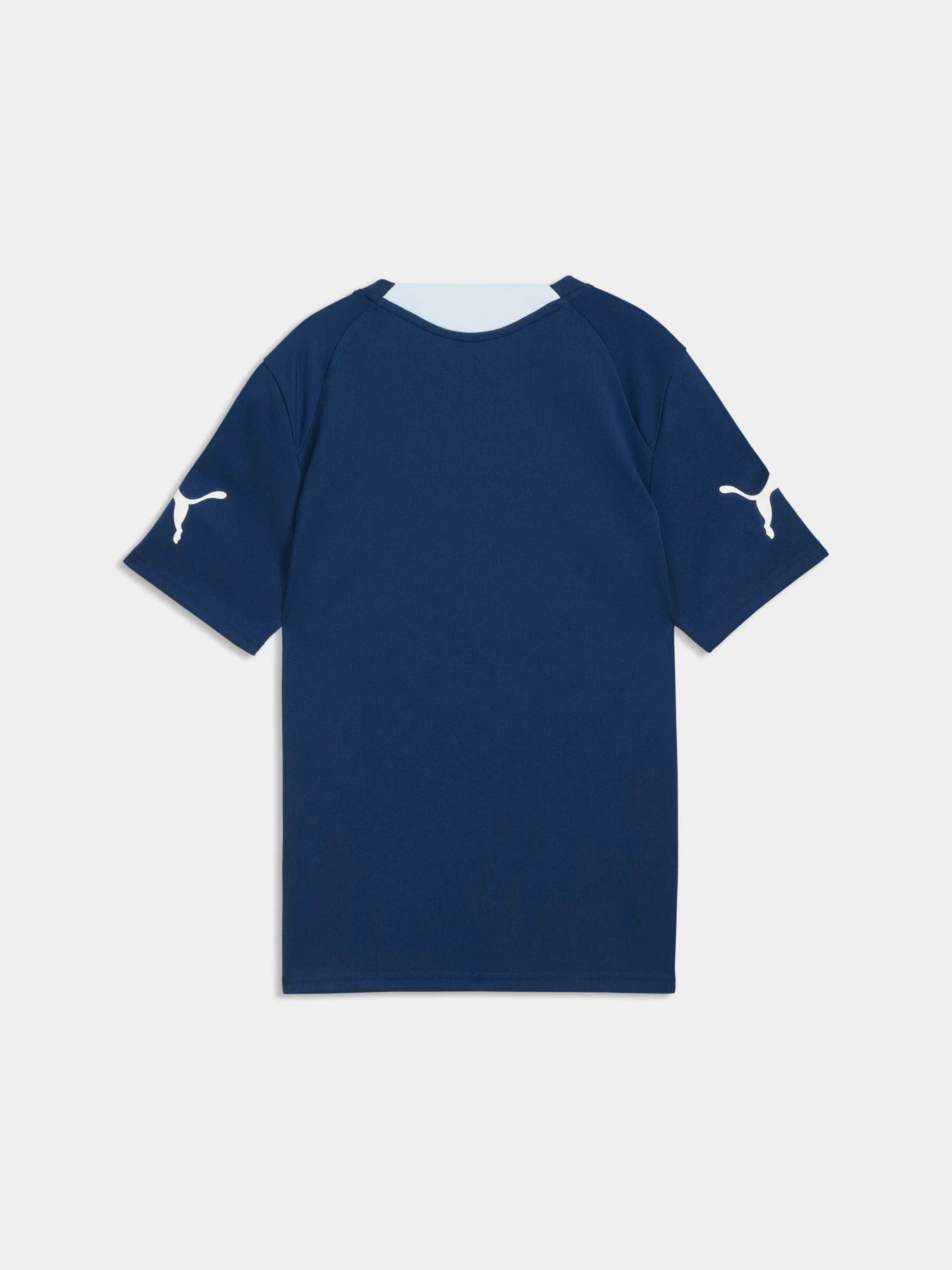 Футболки і поло PUMA Individualfinal Jersey Jr модель 660425 Футболки і поло PUMA Individualfinal Jersey Jr модель 660425 Фото