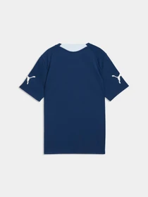Футболки і поло PUMA Individualfinal Jersey Jr модель 660425 Фото