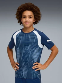 Футболки і поло PUMA Individualfinal Jersey Jr модель 660425 Фото