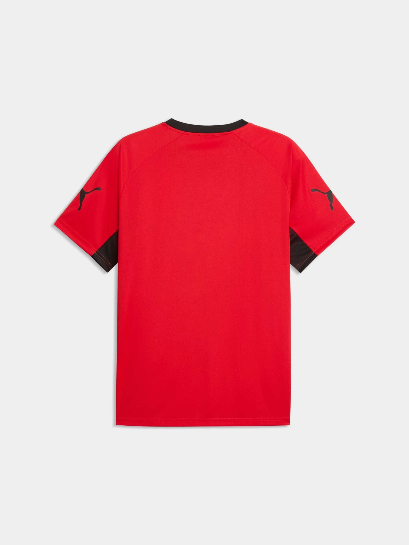 Футболки и поло PUMA Individualliga Graph Jersey модель 660578 Футболки и поло PUMA Individualliga Graph Jersey модель 660578 Фото