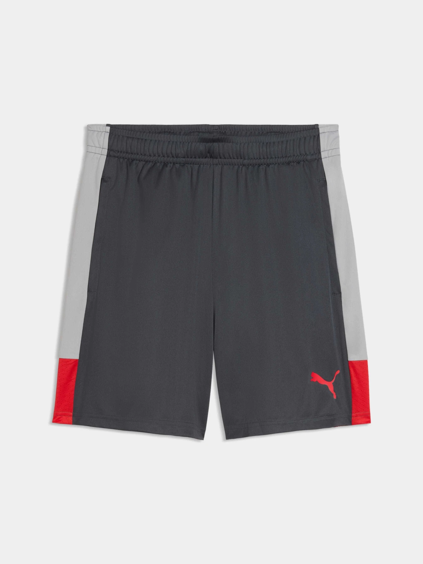 Шорты PUMA Individualliga Trg Shorts модель 660574 Шорты PUMA Individualliga Trg Shorts модель 660574 Фото