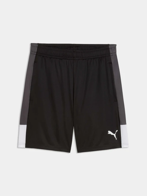 Шорты PUMA Individualliga Trg Shorts модель 660574 Фото