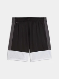 Шорты PUMA Individualliga Trg Shorts модель 660574 Фото