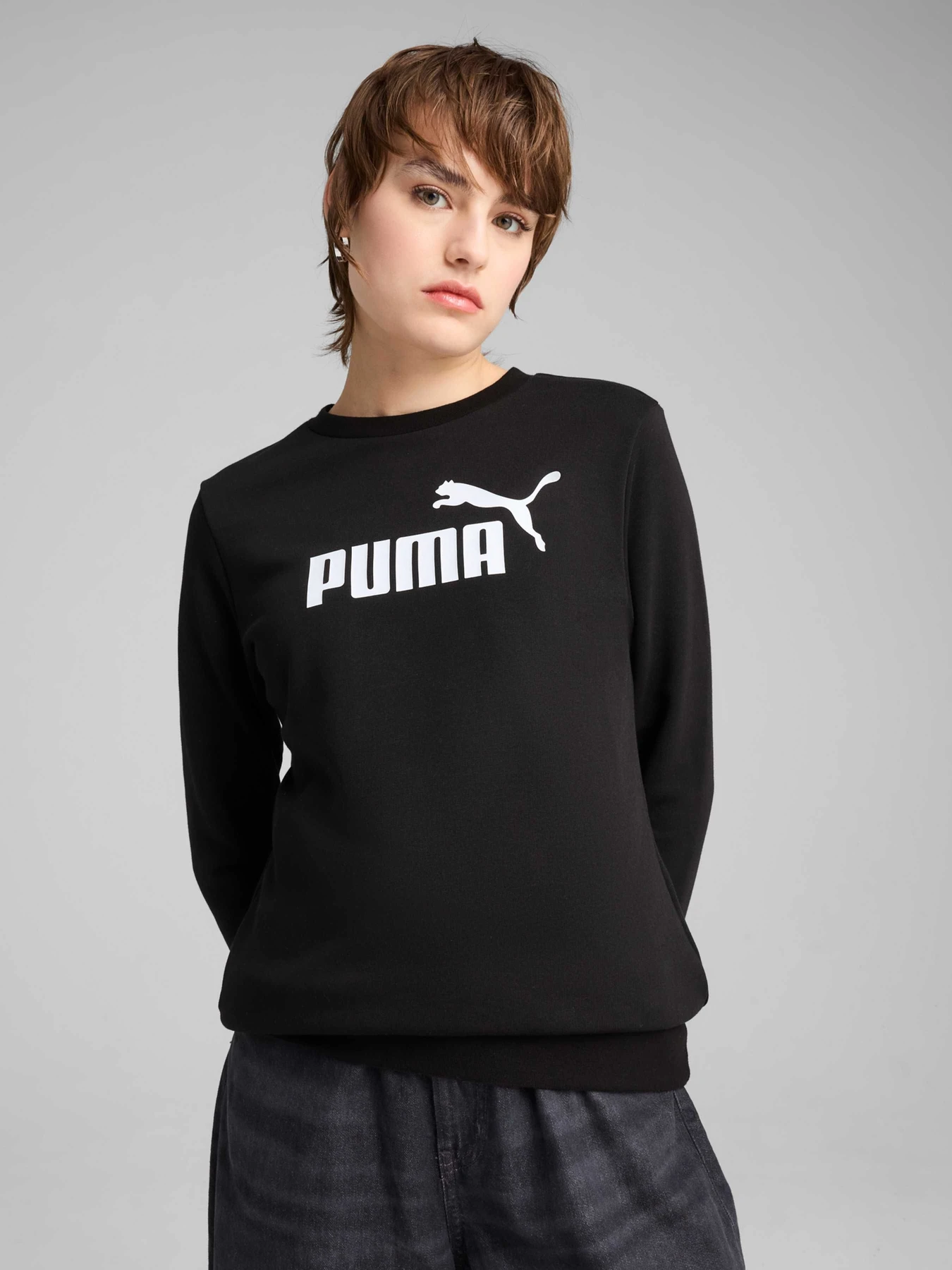 Худи и свитшоты PUMA Ess No. 1 Logo Crew модель 682414 Фото