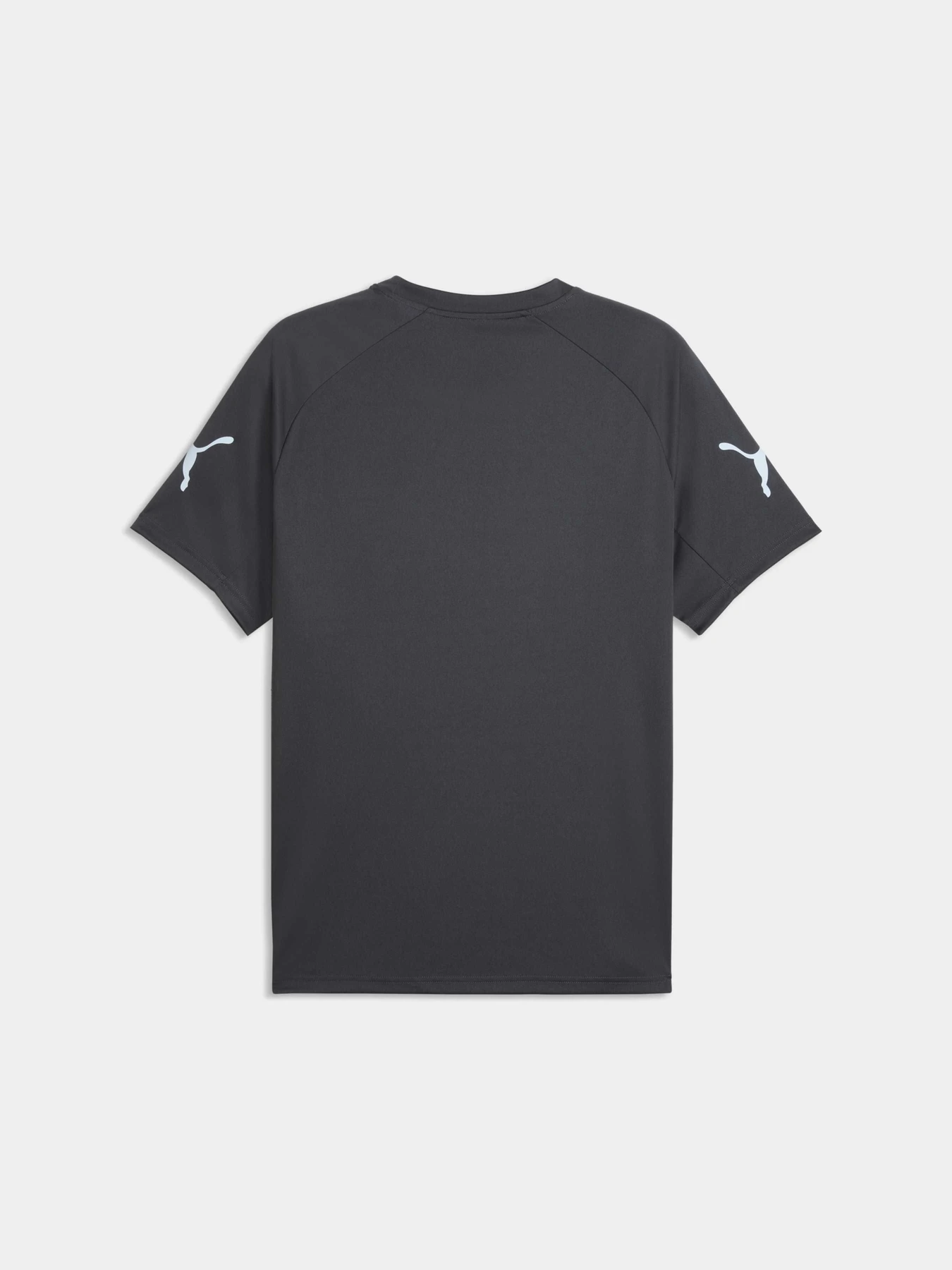 Футболки і поло PUMA Individualliga Graph Jersey модель 660578 Футболки і поло PUMA Individualliga Graph Jersey модель 660578 Фото