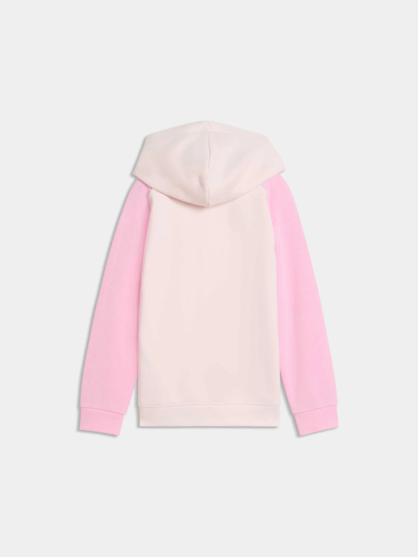 Худі та світшоти PUMA Super Hoodie модель 691919 Фото