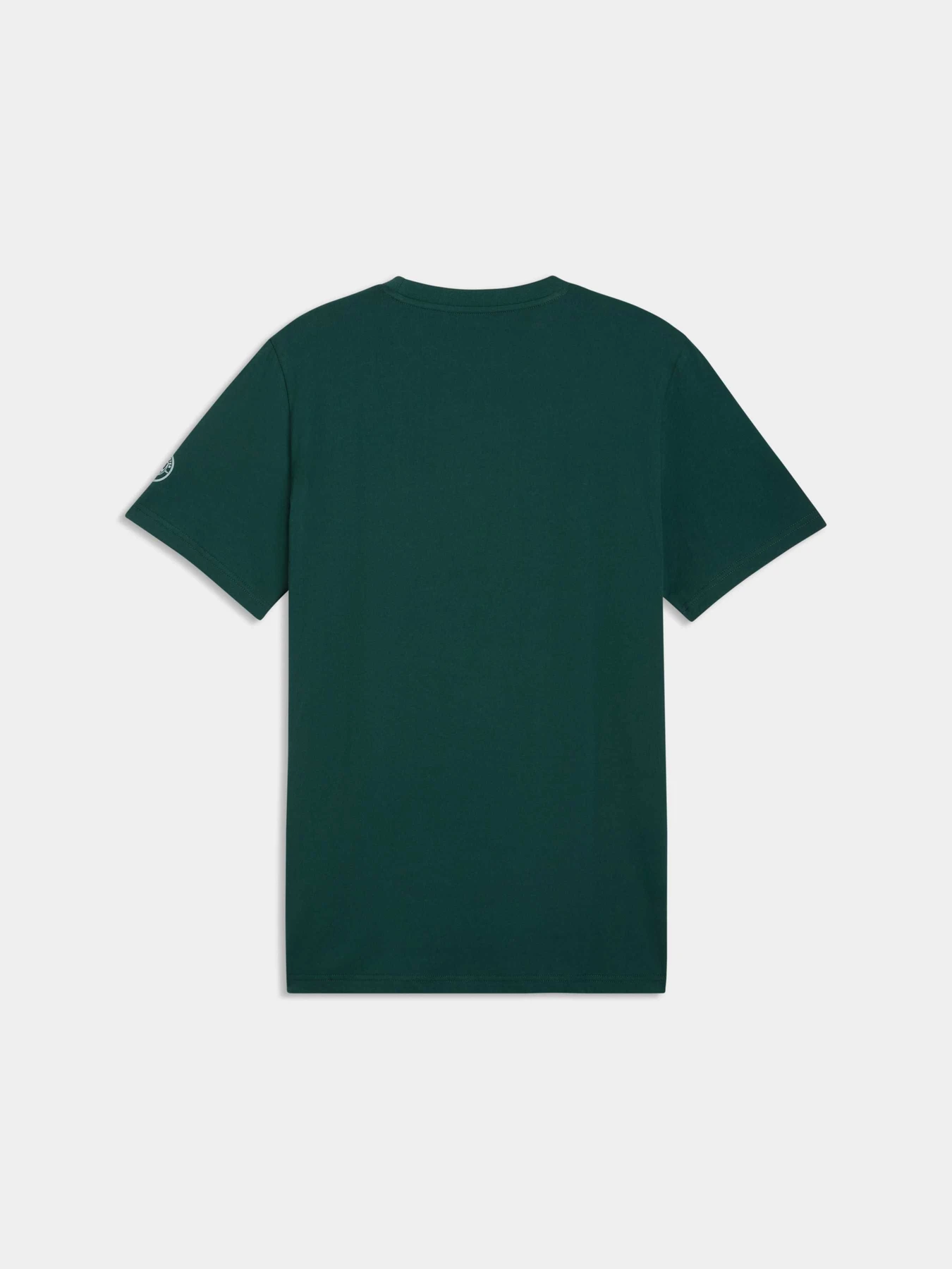 Футболки і поло PUMA Mcfc Ftblculture Tee модель 785787 Фото