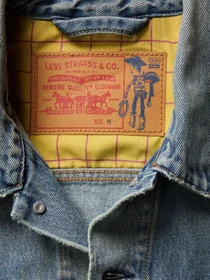 Куртки и дубленки Levi's модель 0034J;0000 Фото