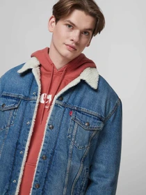 Куртки и дубленки Levi's модель 16365;0128 Фото