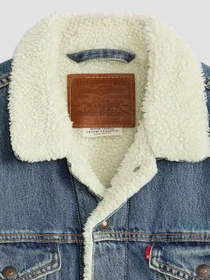 Куртки и дубленки Levi's модель 16365;0292 Фото